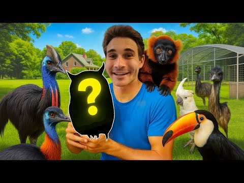 The CUTEST Baby Animal Just Arrived at My ZOO!