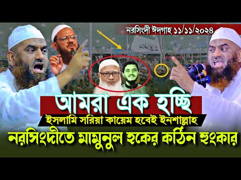 নরসিংদীতে মামুনুল হকের ক*ঠিন হুং*কার ইসলামি সরিয়া কায়েম হবেই ইনশাল্লাহ Mamunul Haque Waz 11/11/2024