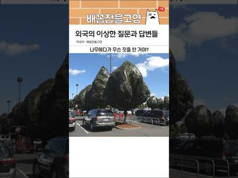 외국의 이상한 질문과 답변들 11탄