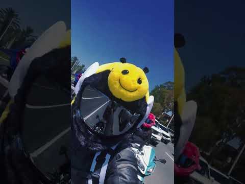 ??Boys imma have to find her and get her number #helmetcover #evilrabbit