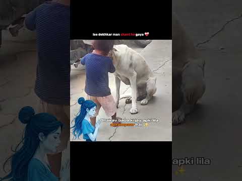 Bhairav baba ki jay....#shorts #trending