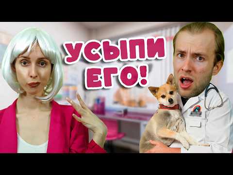 ТИПИЧНЫЙ ДЕНЬ ВЕТЕРИНАРА / Плохой хозяин привёл здоровое животное на усыпление