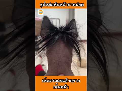 รูปหล่อหันหน้ามาหน่อย #dog #หมา #pets