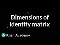 Identity Matrices and Their Properties