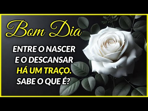 Mensagem de Bom Dia e Reflexão – O Traço da Vida