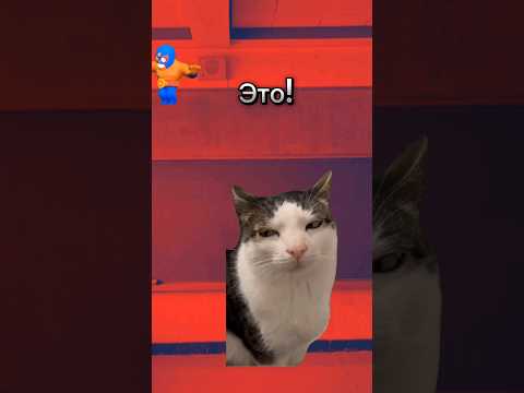 Инглиш🤣😂! #miraculous #юмор #tiktok #котики #футажи #школа #shorts Автор:@STRAYF