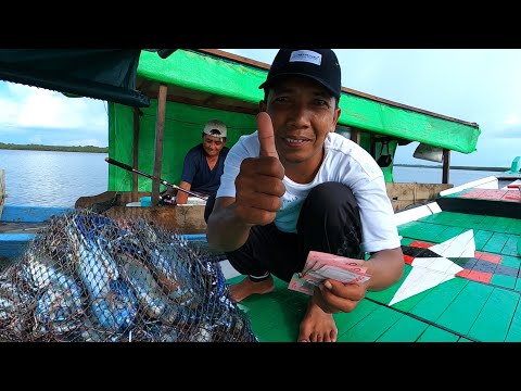 Rejeki mancing awal tahun 2025 dapat banyak udang langsung diborong sultan