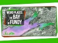 Tidal Phenomena in the Bay of Fundy