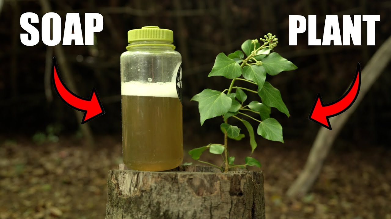 Survival & Bushcraft: How Soap was Made over 1000 years ago