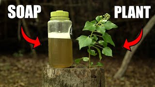 How to make Soap from Nature