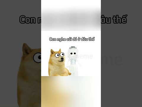 Con cồn lặc là gì ? 🤔 #cheems #memes #viral #funny #doge #hàihước #xuhuong