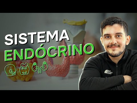 Sistema endócrino - Aula Medicina ENEM #02