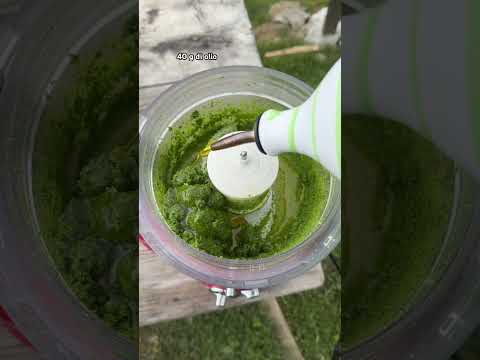 PESTO DEL BOSCO🌲🌲(È STRAORDINARIO💥) E CI VEDIAMO AL SALONE DEL LIBRO DI TORINO SABATO 17 MAGGIO❤️