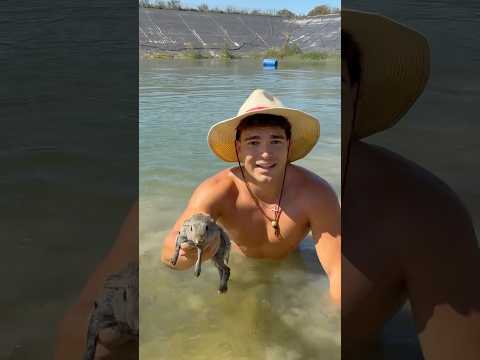 Este conejo tuvo mucha suerte… #animales #rescate #viral #shorts