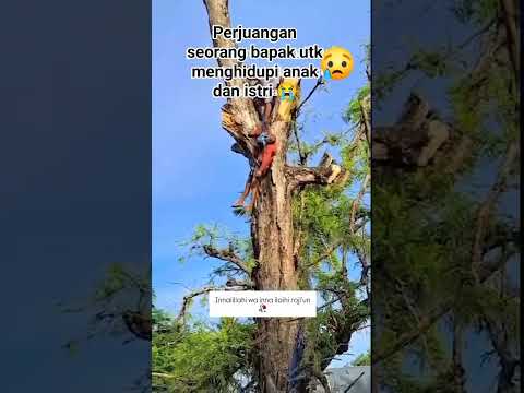Sehat selalu untuk para pejuang Nafkah Keluarga #subscribe