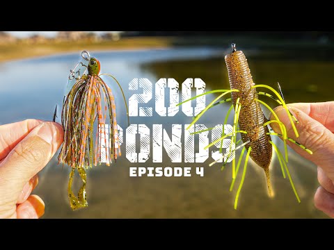 Normal Lure Vs. CRAZY Lure For Pond Bass Fishing (200 Ponds Ep. 4)