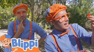 Bliipi geht auf Sinnesreise 🌺 Blippi Deutsch | Abenteuer und Videos für Kinder