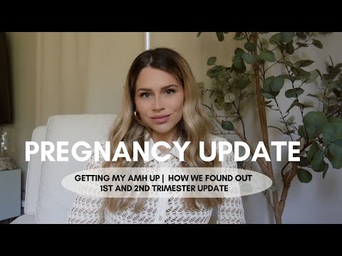 Pregnancy After IVF | how we found out + fertility amh update