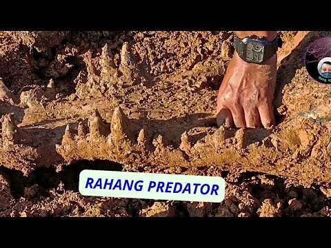 TARING BINATANG PURBA
