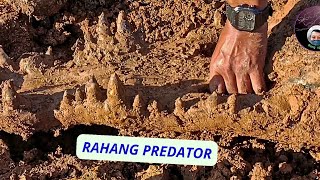 TARING BINATANG PURBA