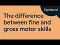 Fine and Gross Motor Skills Assessment
