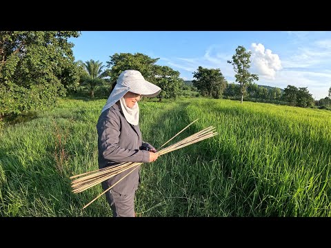 เบ็ดใหม่เฮ็ดเซ่น ถึงขั้นเก็บเบ็ดกลับทันที