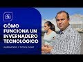 Manejo de Invernaderos y Cultivos