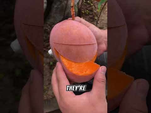 Chinses fruit are so delicious #facts  #shorts #youtubeshorts #viral #chinese