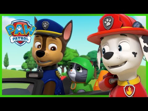 Rocky Kitty joins the Pups to rescue Humdinger! - PAW Patrol Episode - Cartoons for Kids