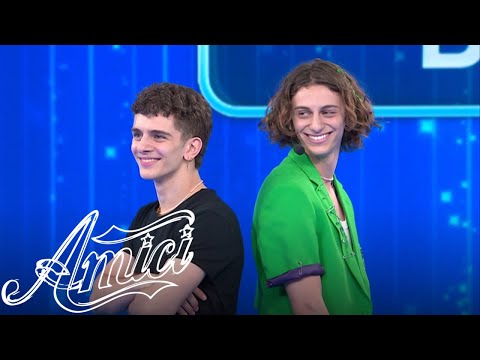 Amici 21 - Albe e Dario - Il gatto e la volpe