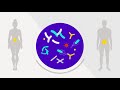 Microbiome and Health Insights