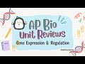Molecular Biology Concepts Assessment