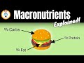 Exploring Macronutrients: Carbohydrates, Fat, and Protein