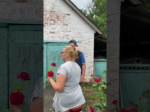 Оце навкорінюю😅🤭