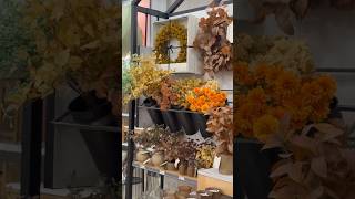 Fall Collection from Hearth & Hand designed with Magnolia