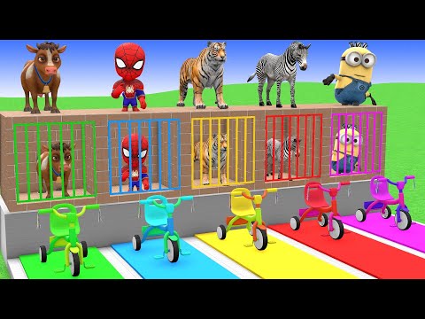 Long Slide Game with Cow Elephant Gorilla Hippopotamus Tiger 3d Animal Game Funny 3d Animals