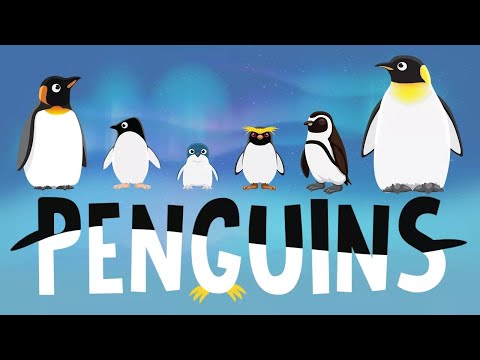 Penguins for Kids: Penguins for Kids: Interesting Facts - Different Types of Penguins