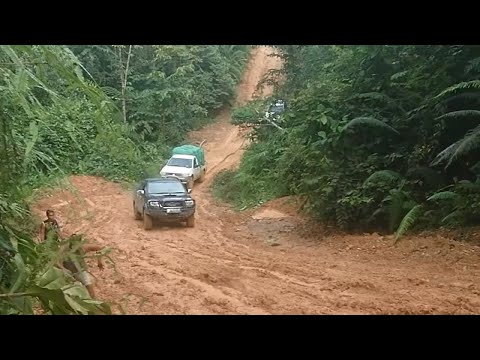 Toyota Hilux Mitsubishi Triton and Ford Ranger In Mud Route - Extreme Mud Route Borneo