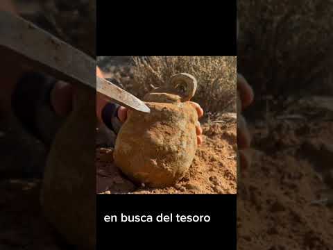 Este si fue un gran hallazgo 😱😱😱