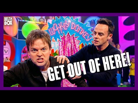 GO AWAY! Dec Get's Mad In This Wonky Donkey!