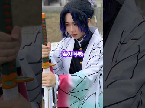 鬼滅の刃無限城編×胡蝶しのぶ　猫の呼吸！#鬼滅の刃 #鬼滅の刃無限城編 #コスプレ #demonslayer #kimetsunoyaiba #cosplay #ネタ動画