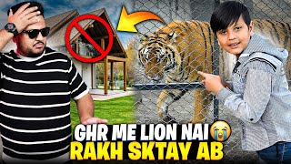 Ab Ghr me Lion Rakhna Not Allowed Hai 😭 |New Rules of Wildlife Department | Nouman Hassan