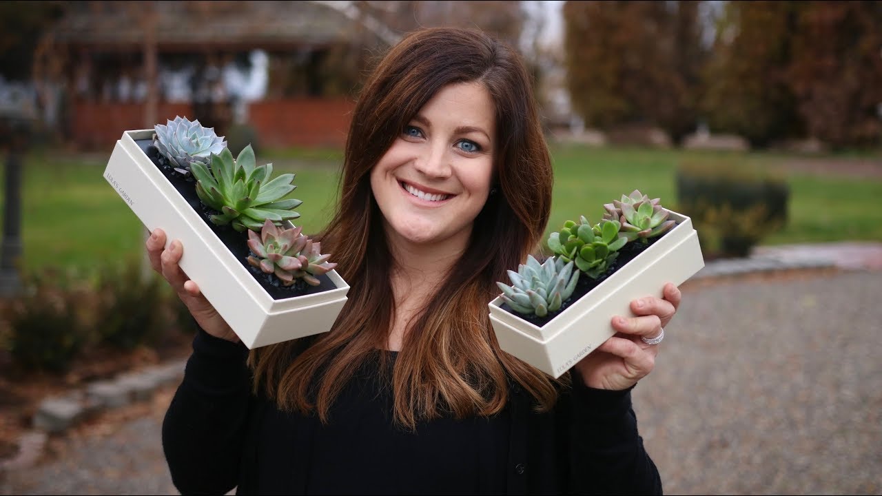 Succulent Gift Boxes + Giveaway