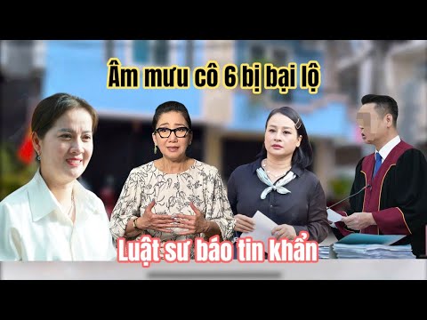 Nhân Chứng Từ Mỹ Tiếc Lộ Âm Mưu Mẹ Con Cô 6 Lật Kèo Đòi Giành Nhà Số 5 Sau Phúc Thẩm