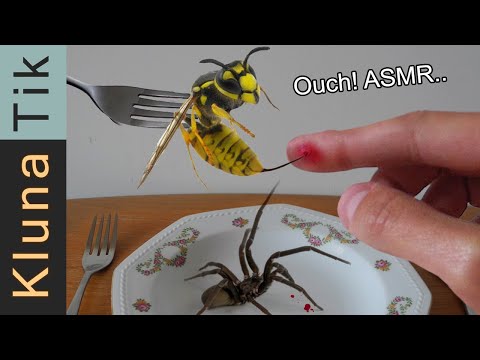 Wild & (S)Tingly ASMR