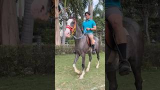 Hamara Nya Ghoda 😻 | the mridul shorts | the mridul new video | the mridul vlog | trending shorts