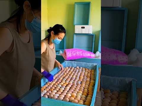 Baby born from an egg? ￼​  #shorts