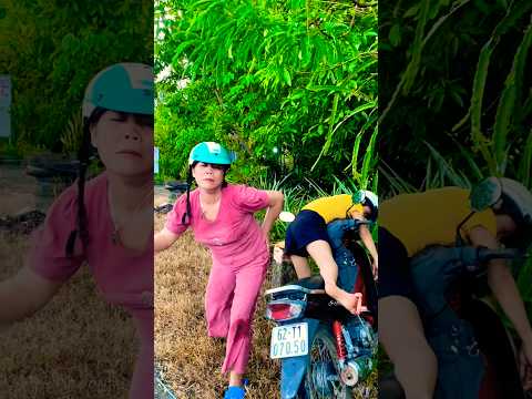 Con cho cô đi nhờ