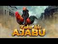 KUKU WA AJABU 41