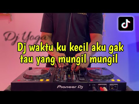 Dj waktu ku kecil aku gak tau yang mungil mungil - Dj viral 2025